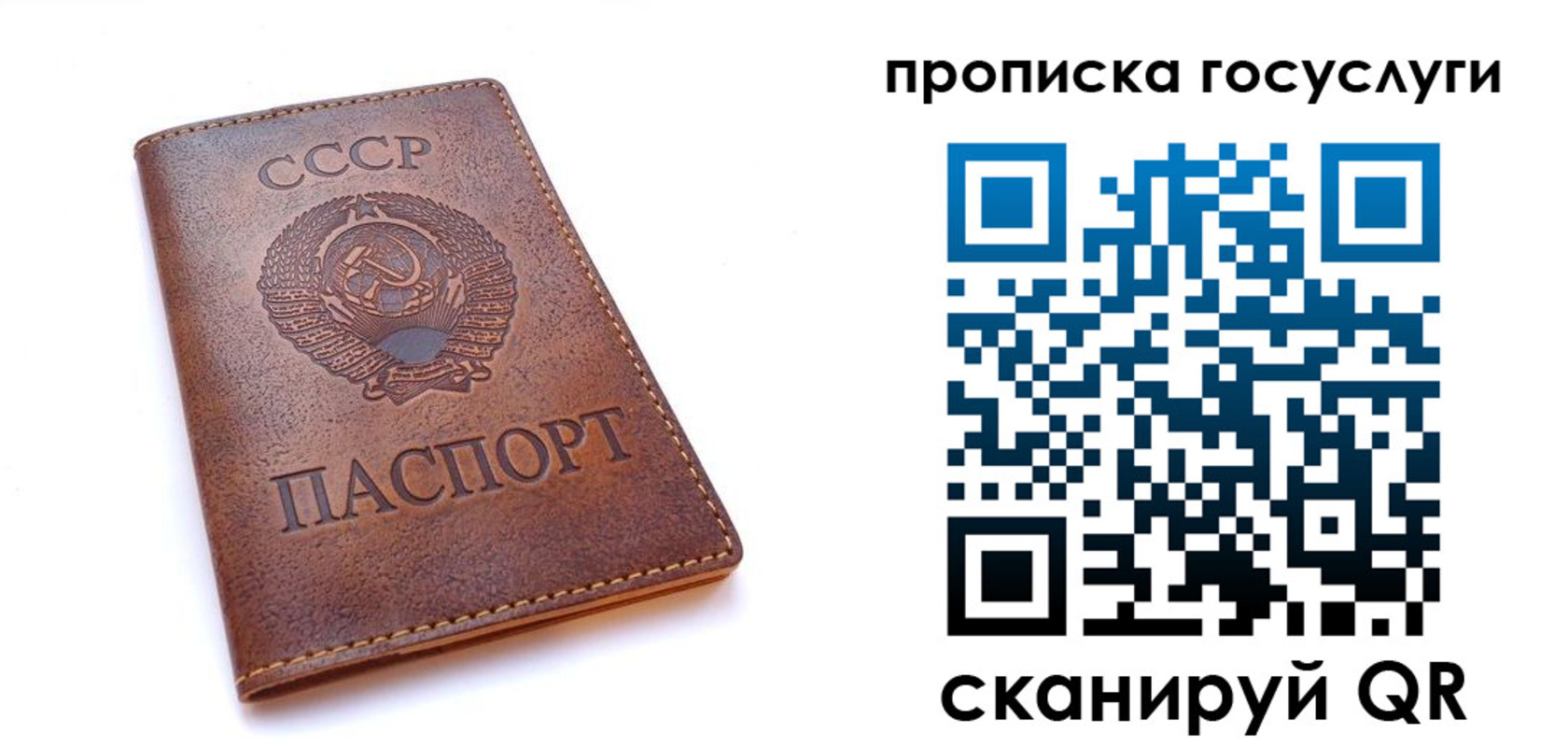 прописка в Киселёвске